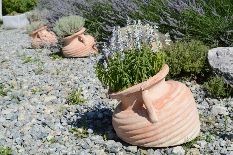 Lavanda, lonac 2L